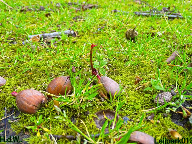 Leijpark013  23 &amp; 24 &amp; 25 &amp; 26 april 2023 