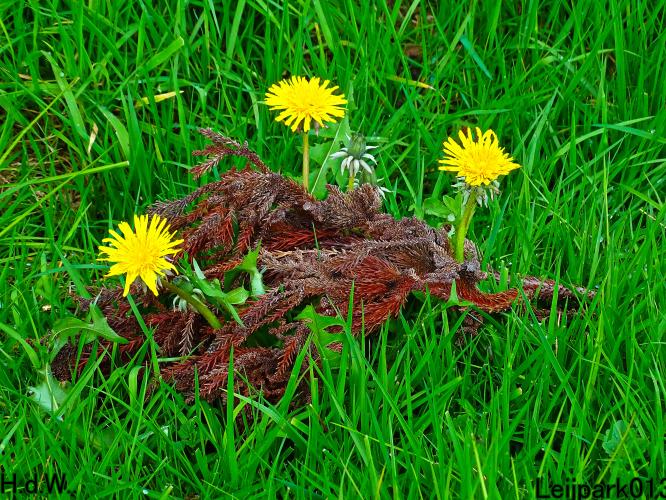 Leijpark013  23 &amp; 24 &amp; 25 &amp; 26 april 2023 