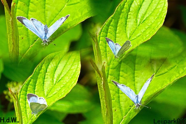 Leijpark013  5 &amp; 6 &amp; 7 &amp; 8 mei 2023 