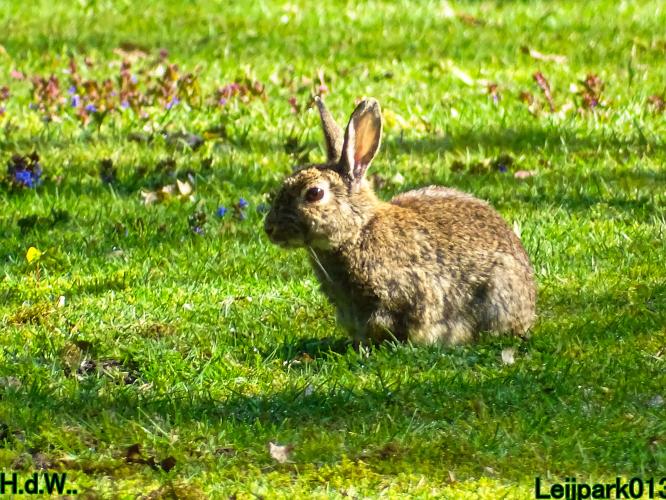 Leijpark013  5 &amp; 6 &amp; 7 &amp; 8 mei 2023 