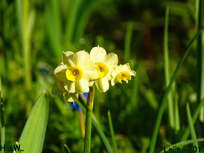 Leijpark013  5 &amp; 6 &amp; 7 &amp; 8 mei 2023 