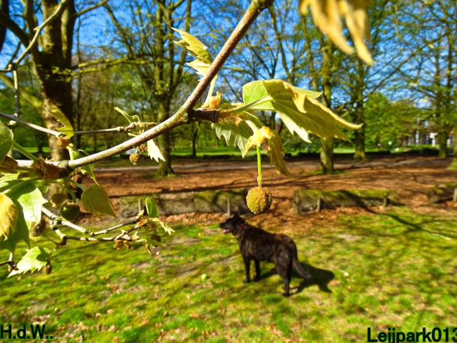Leijpark013  5 &amp; 6 &amp; 7 &amp; 8 mei 2023 