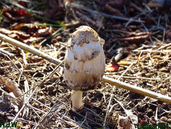 Leijpark013  5 &amp; 6 &amp; 7 &amp; 8 mei 2023 