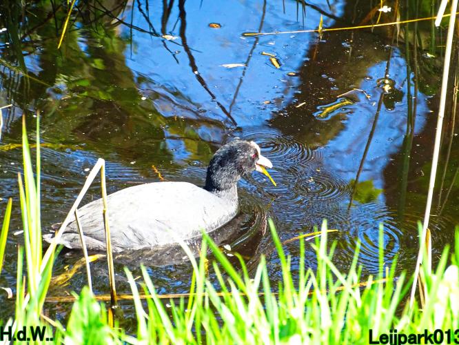 Leijpark013  5 &amp; 6 &amp; 7 &amp; 8 mei 2023 