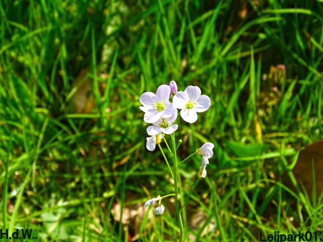 Leijpark013  5 &amp; 6 &amp; 7 &amp; 8 mei 2023 