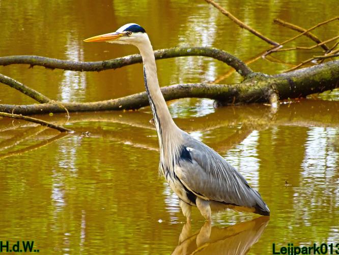 Leijpark013  5 &amp; 6 &amp; 7 &amp; 8 mei 2023 