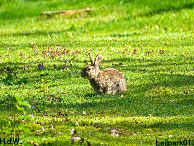 Leijpark013  5 &amp; 6 &amp; 7 &amp; 8 mei 2023 