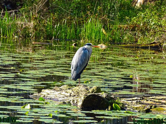 Leijpark013  5 &amp; 6 &amp; 7 &amp; 8 mei 2023 