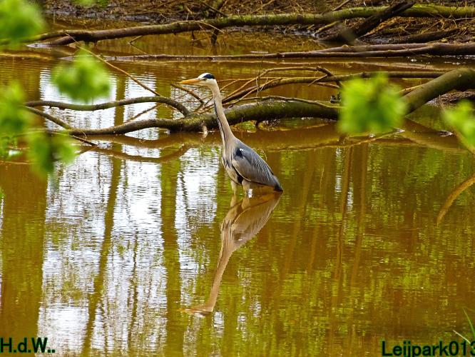 Leijpark013  5 &amp; 6 &amp; 7 &amp; 8 mei 2023 
