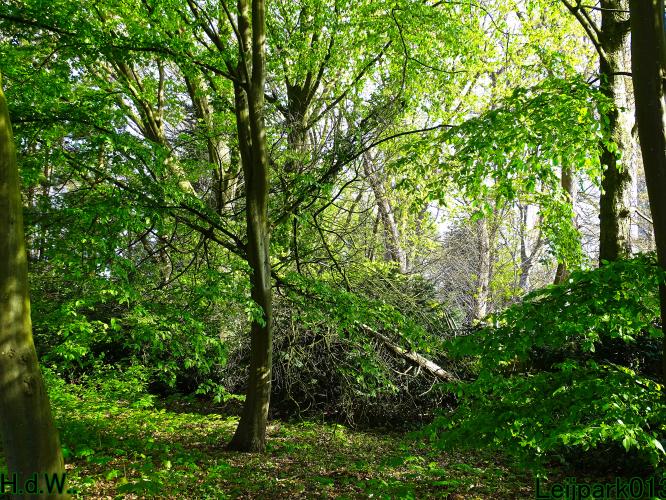 Leijpark013  5 &amp; 6 &amp; 7 &amp; 8 mei 2023 