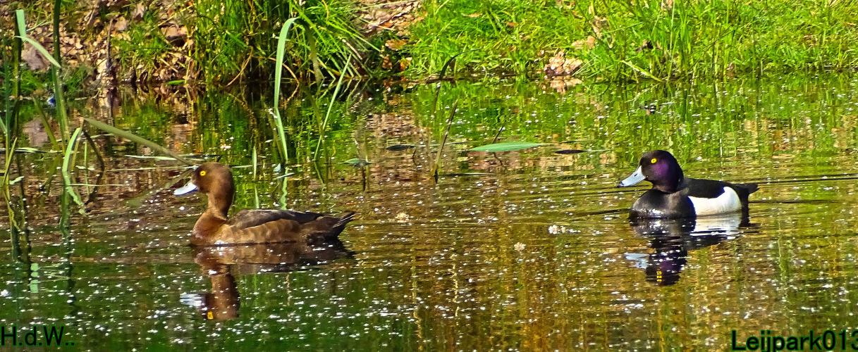 Leijpark013  21 &amp; 22 &amp; 23 &amp; 24 mei 2023 