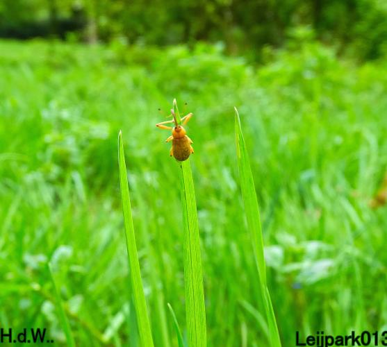 Leijpark013  21 &amp; 22 &amp; 23 &amp; 24 mei 2023 