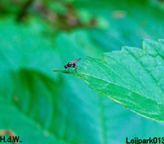 Leijpark013  21 &amp; 22 &amp; 23 &amp; 24 mei 2023 