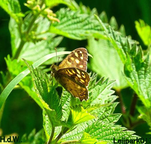 Leijpark013  21 &amp; 22 &amp; 23 &amp; 24 mei 2023 