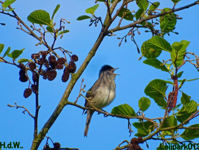 Leijpark013  21 &amp; 22 &amp; 23 &amp; 24 mei 2023 