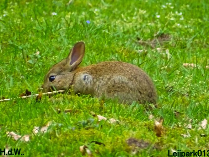 Leijpark013  21 &amp; 22 &amp; 23 &amp; 24 mei 2023 