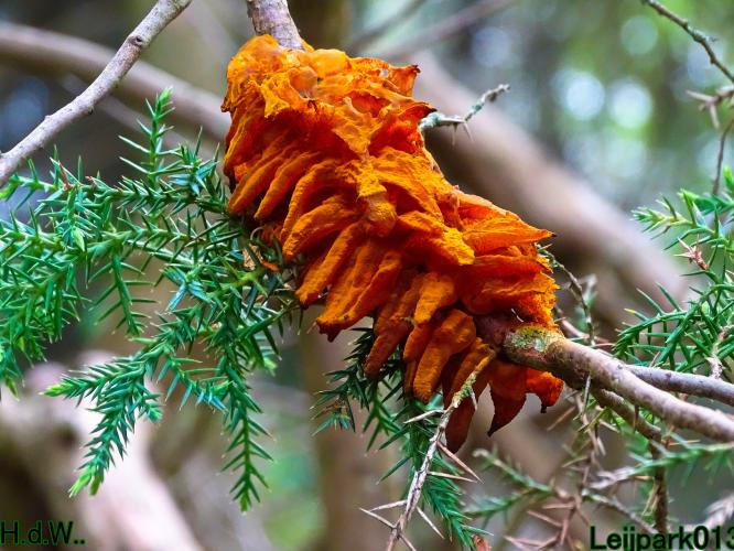 Leijpark013  21 &amp; 22 &amp; 23 &amp; 24 mei 2023 