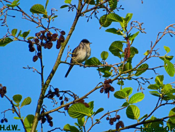 Leijpark013  21 &amp; 22 &amp; 23 &amp; 24 mei 2023 