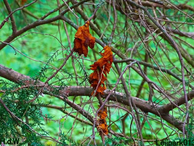 Leijpark013  21 &amp; 22 &amp; 23 &amp; 24 mei 2023 