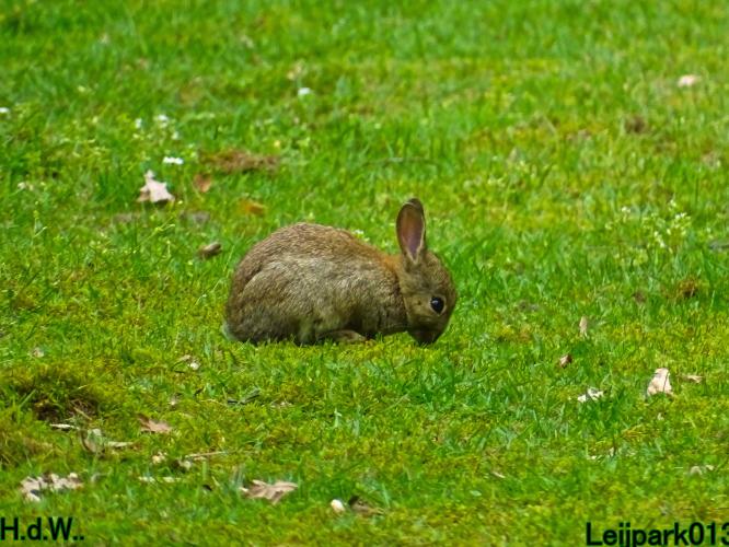 Leijpark013  21 &amp; 22 &amp; 23 &amp; 24 mei 2023 