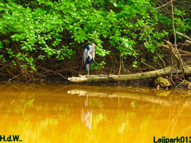 Leijpark013  21 &amp; 22 &amp; 23 &amp; 24 mei 2023 