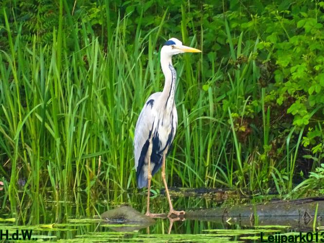 Leijpark013  21 &amp; 22 &amp; 23 &amp; 24 mei 2023 