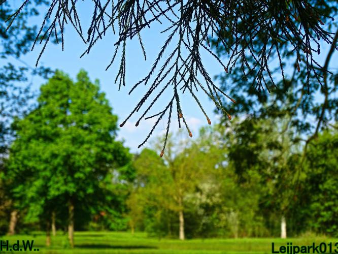 Leijpark013  21 &amp; 22 &amp; 23 &amp; 24 mei 2023 