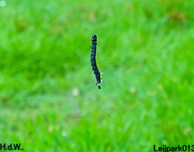 Leijpark013 25 &amp; 26 &amp; 27 &amp; 28 mei 2023 