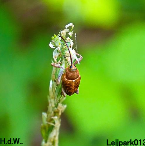 Leijpark013 25 &amp; 26 &amp; 27 &amp; 28 mei 2023 