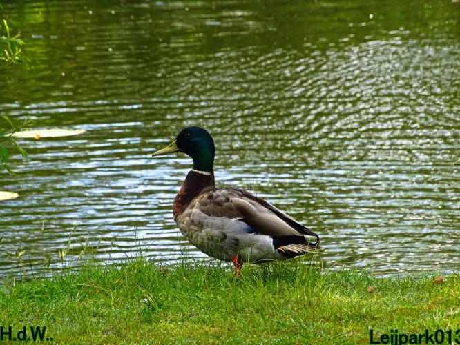 Leijpark013 25 &amp; 26 &amp; 27 &amp; 28 mei 2023 