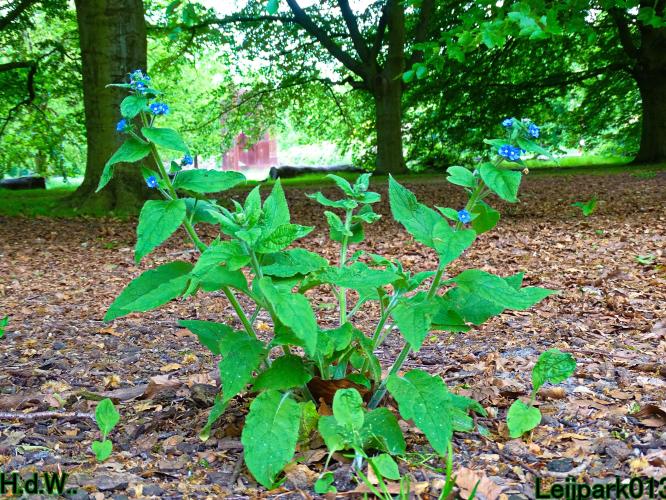 Leijpark013 25 &amp; 26 &amp; 27 &amp; 28 mei 2023 