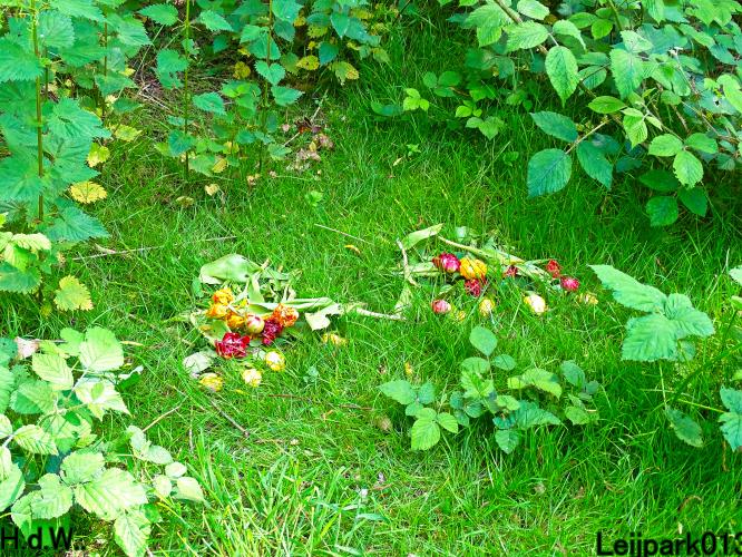 Leijpark013 25 &amp; 26 &amp; 27 &amp; 28 mei 2023 