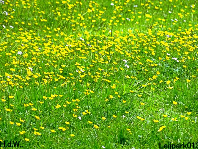 Leijpark013 25 &amp; 26 &amp; 27 &amp; 28 mei 2023 