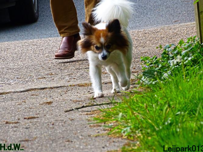 Leijpark013 Beestenboel 28 mei 2023 