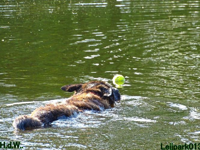 Leijpark013 Beestenboel 28 mei 2023 