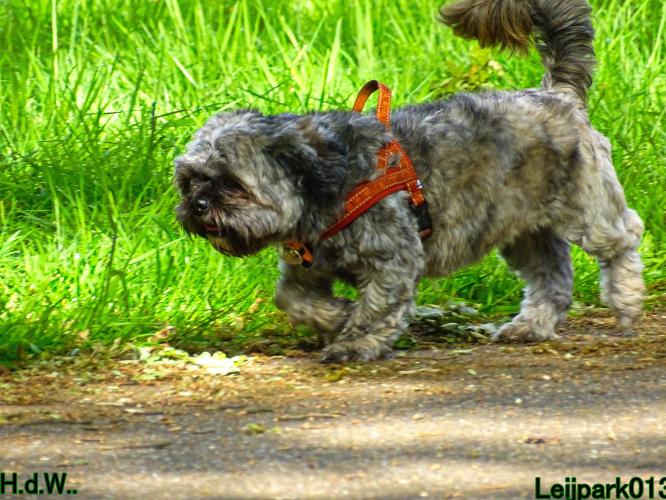 Leijpark013 Beestenboel 28 mei 2023 