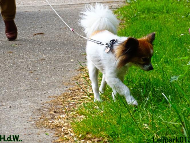 Leijpark013 Beestenboel 28 mei 2023 