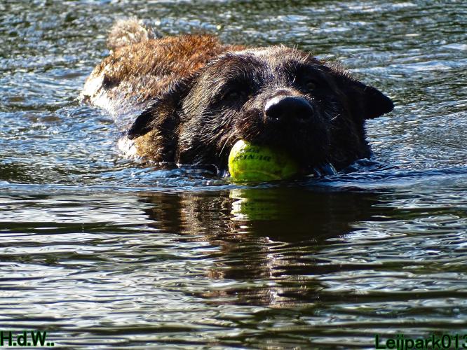 Leijpark013 Beestenboel 28 mei 2023 