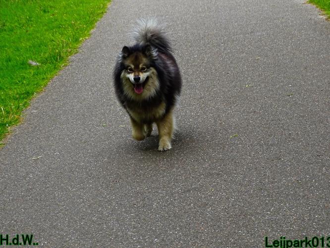 Leijpark013 Beestenboel 28 mei 2023 