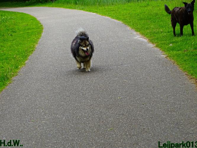 Leijpark013 Beestenboel 28 mei 2023 