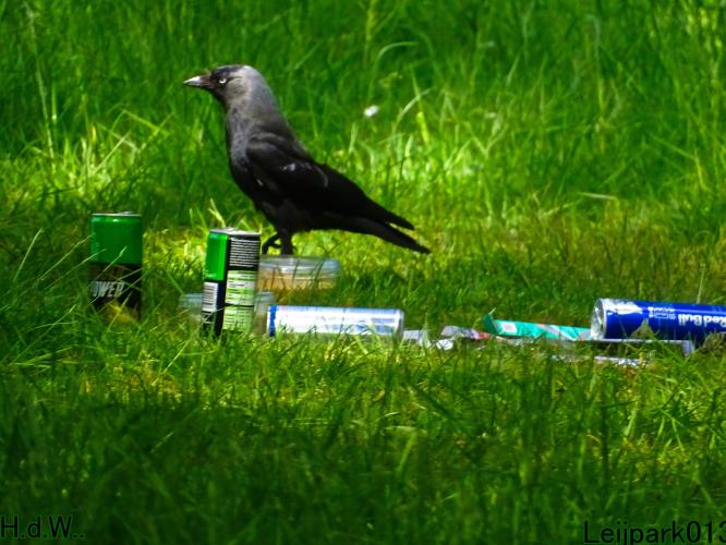 Leijpark013 SNIK SNIK 2 juni 2023 