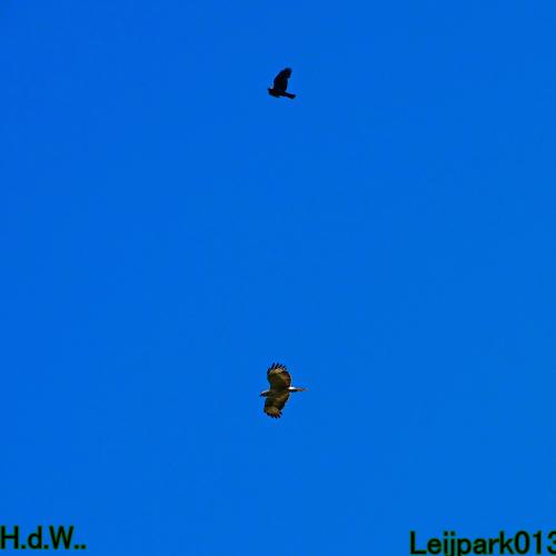 Leijpark013 June 10 & 11 & 12 & 13, 2023 