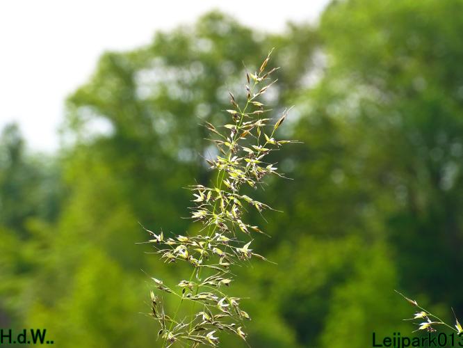 Leijpark013 June 10 & 11 & 12 & 13, 2023 