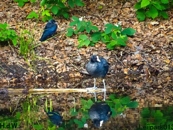 Leijpark013 June 10 & 11 & 12 & 13, 2023 