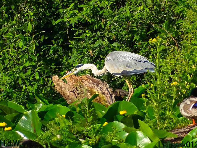 Leijpark013 June 30 & 1 & 2 & 3 July 2023 