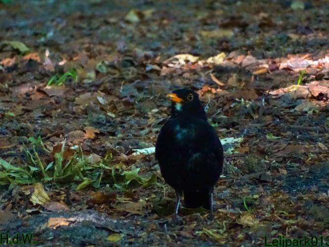 Leijpark013 June 30 & 1 & 2 & 3 July 2023 