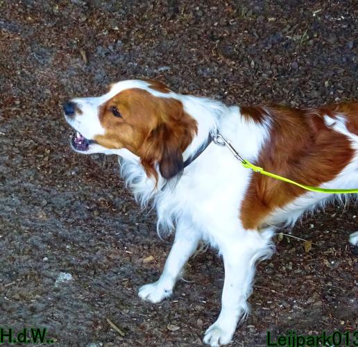 Leijpark013 Beestenboel 6 juli 2023 