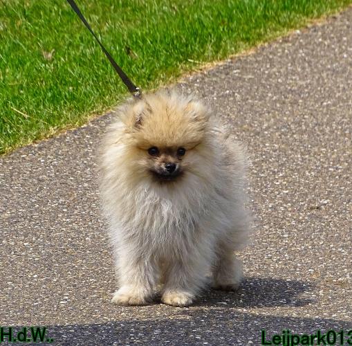 Leijpark013 Beestenboel 6 juli 2023 