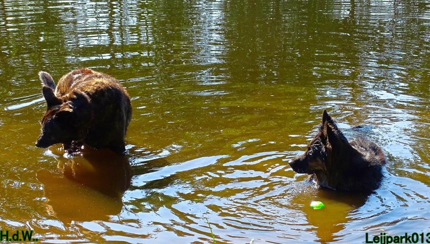 Leijpark013 Beestenboel 6 juli 2023 