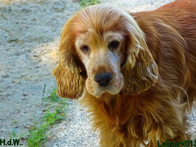 Leijpark013 Beestenboel 6 juli 2023 